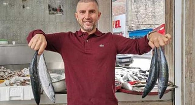 Balıkçılar palamut kıtlığına şaştı kaldı!