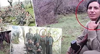 MİT'ten PKK'ya bir darbe daha!