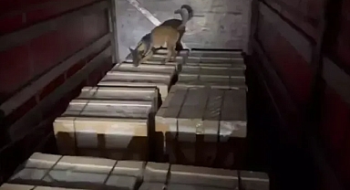 Bakan Yerlikaya: 47 ilde 376 uyuşturucu şüphelisi yakalandı