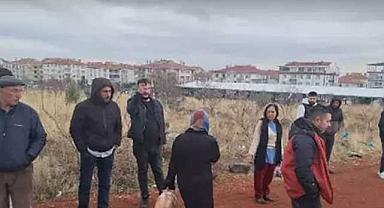 Başıboş sokak köpeklerinin saldırısına soruşturma açıldı