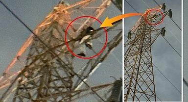 Boşandığı eşini ve çocuklarını özlediğini söyleyen şahıs, 50 metrelik elektrik direğine çıkıp kendini ihbar etti