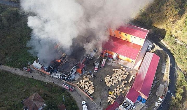 Giresun’da fabrikada yangın