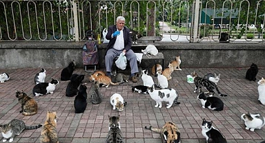 'Kedilerin babası' Karaağaç, her sabah 700 kediye mama götürüyor