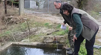 Bursa'da nesli tehlike altındaki ' Anadolu Şeritli Semenderi' bulundu
