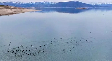 Tunceli Valisi'nden Yürek Yakan Açıklamalar...