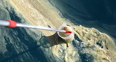 Antalya'da flaş denizanası operasyonu...