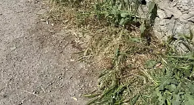 Eski arkadaşını acımasızca işte böyle öldürdü...