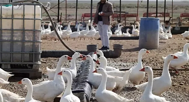 Ferdi Çetin'in duyanları şok'e eden çiftlik hikayesi...