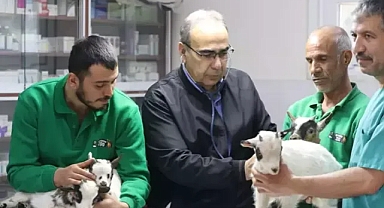 Hayvanat bahçesinde 4 cüce'den beklenmedik doğum...