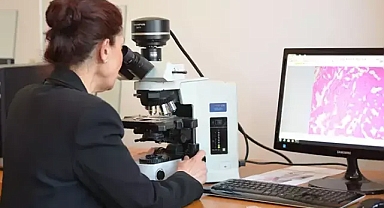 Kedi ve Köpekler'in can sağlığı tehlikede...