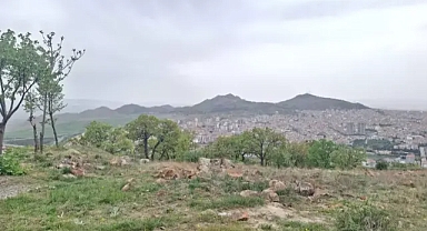 Ortağını öldüren bungalov işletmecisi işte bu yüzden...