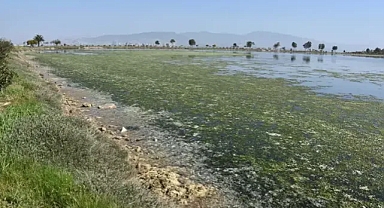 Prof.Dr.Yaşar'dan Yürekleri Yakan Haber Geldi!