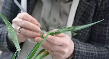 Tarım sektörüde 'parla' dönemi...