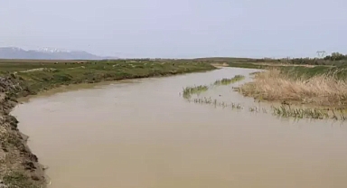 Üreme göçü öncesi inci kefali sıkı denetim altına alındı...