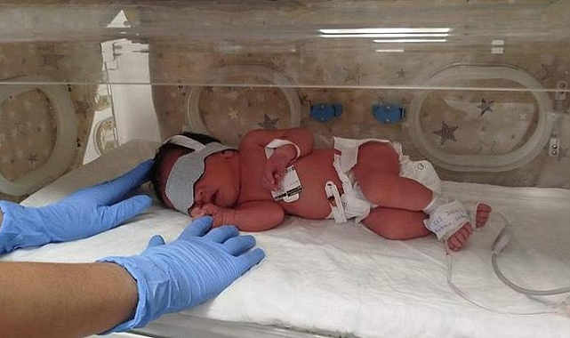 2 günlük bebeği dağ yoluna terk edip, jandarmayı arayan aile üyeleri yakalandı
