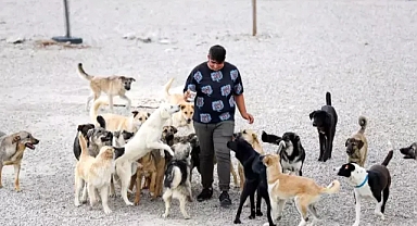 Ankara Barosu'nda 'sokak hayvanları' düzenlemesi için ' flaş uyarı!