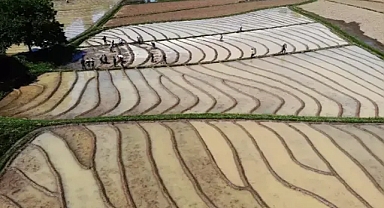 Bitlis'te dededen kalma yöntemlerle ortaya güzel ürünler çıkartan flaş çiftçiler!