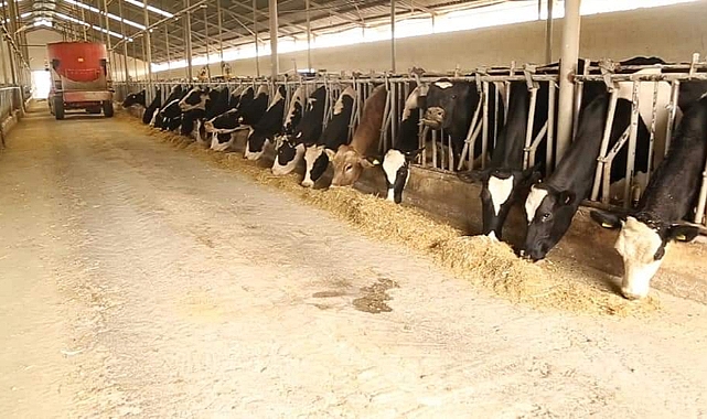 Et-Süt-Bal Merkezi Develi Hayvancılık Konseyi