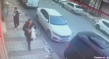 Sultangazi'de vefat eden eşinden kalan kedi bulundu...