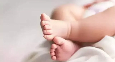 Türkiye'de en çok doğum temmuz ayında oldu...