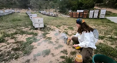 Üniversiteli Nilay, doğal yaşam hayaliyle turizm sektörünü bırakıp arıcılığa başladı...