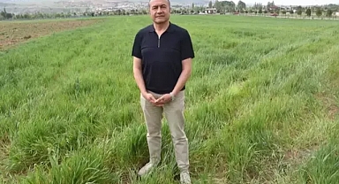 Uzmanlar'dan uyarı geldi ‘sarı pas’ hastalığı için işte çözüm...