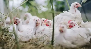 Uzmanlar uyardı ABD tehlike altında!