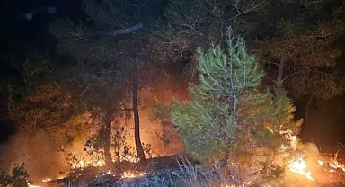 Adana'da 2 günde 10 orman yangını çıktı, profesör uyardı