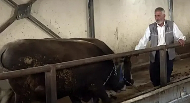 Erzurum'da 'kurbanlık oteli' 