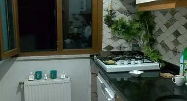 Kumru evlerine işte böyle yuva yaptı!