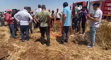 Mardin'de tarla vakası devam ediyor!