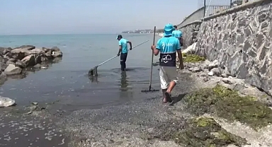 Silivri'de deniz keyfini bölen sahil düzenlemesi!