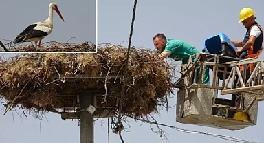 Yaren leylek ile eşi Nazlı, tedavisi tamamlanan yavrularına 10 gün sonra kavuştu