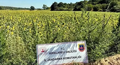  16 ilde düzenlenen 'Narkoçelik-28' operasyonlarında 59 şüphelinin yakalandığını, 40'ının tutuklandığını 