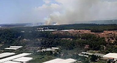 Antalya'da orman yangını çıktı 