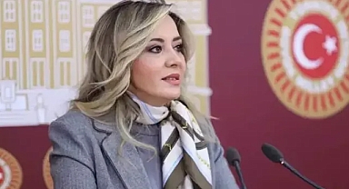 Aylin Cesur, istifa açıklaması