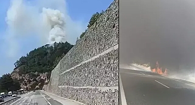 Balıkesir'de minibüste çıkan alevler ormana da sıçradı