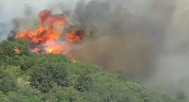çanakkale orman yangınına ani müdahale