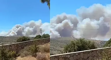 Çeşme'de alevlere teslim olan orman yangınına ani müdahale