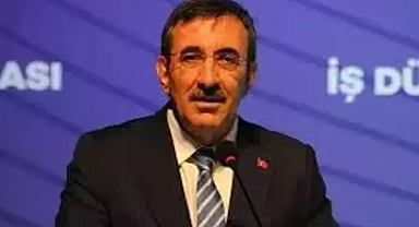 Cumhurbaşkanı Yardımcısı Yılmaz:UYZS Eylem Planı dair açıklama