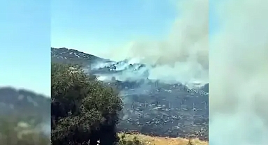Kahramanmaraş’ta orman yangını ani müdahale