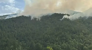 Kastamonu'da ormana yıldırım düşmesi sonucu çıkan yangın kontrol altına alındı
