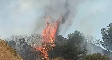 Manisa'da orman yangını Alevlere havadan ve karadan müdahale 