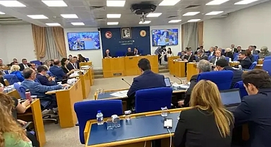 Sahipsiz hayvan yasası teklifi karari dair açıklama