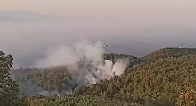 Aydın Germencik ilçesinde orman yangını