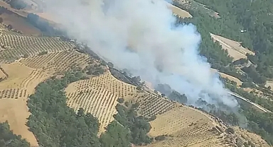 AYNI BÖLGEDE FARKLI NOKTADA İKİNCİ YANGIN ÇIKTI