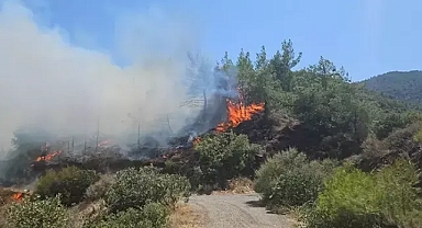 Hatay'ın Antakya ilçesinde alevlere ani müdahale