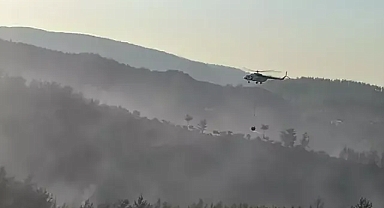 Muğla’nın Milas ilçesindeki çıkan yangına müdahaleler devam ediyor