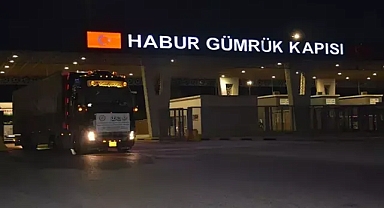 Sınır Kapısı'nda gümrük muhafaza memurlarına saldırı