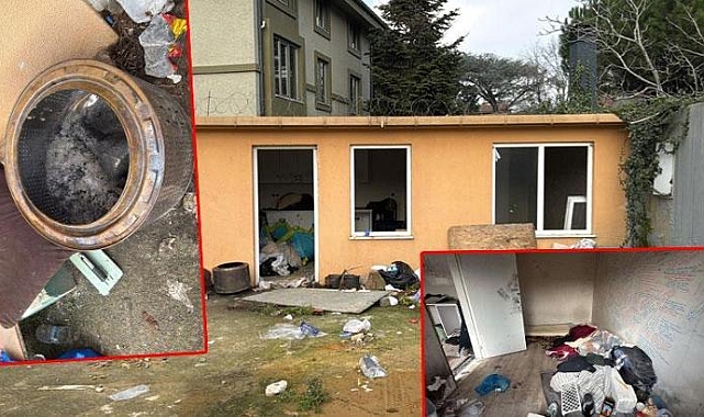 Beşiktaş'ta iki kardeş prefabrik evde ölü bulundu